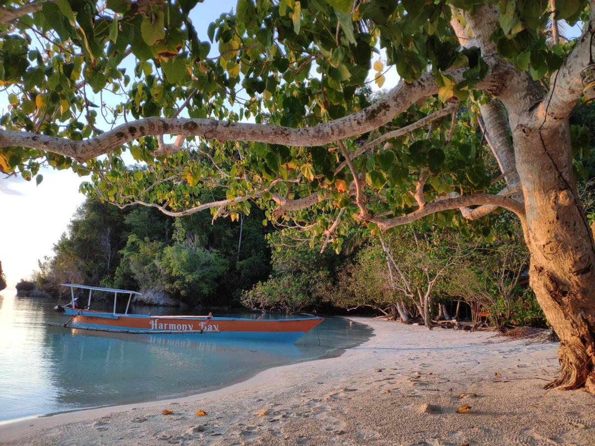 Harmony Bay Resort And Dive Center Wakai Exterior foto